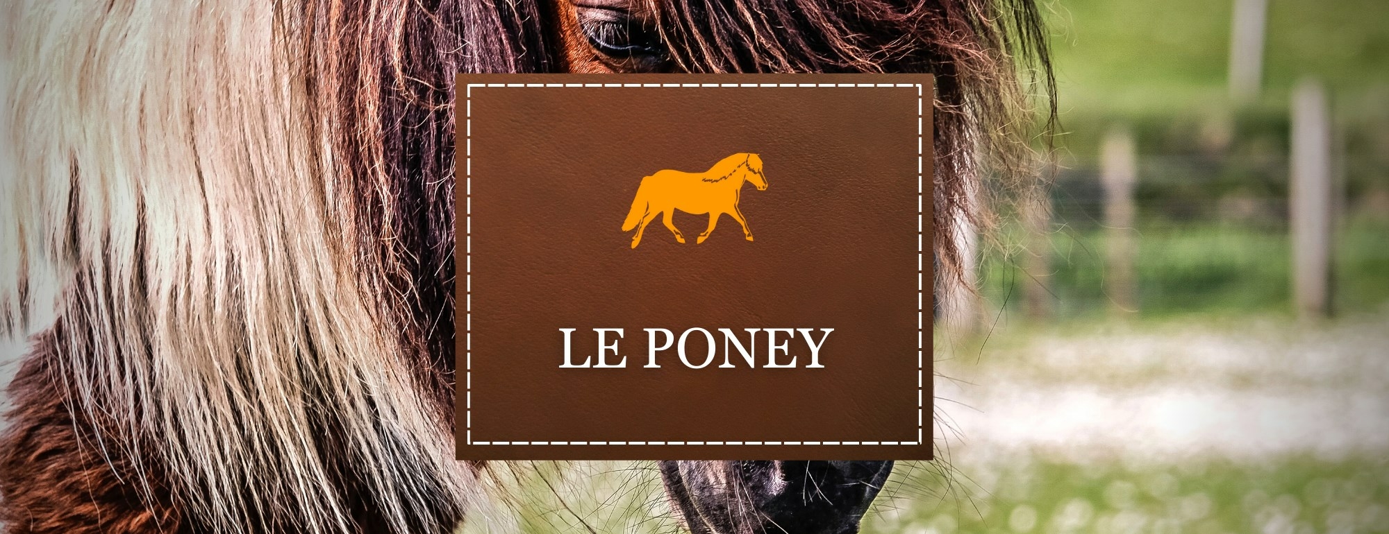 Le poney Sellerie CPNB1